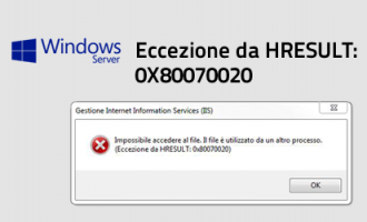 Impossibile accedere al file. Eccezione da HRESULT 0x80070020